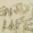 Yoga, Pranayama & Meditation Workshop. Yesterday, on the eve of the Celtic New Year – Samhain – 30th October, We held...