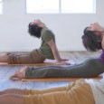 Core Strength Yoga – Keep Fit – Feel Good. This Dynamic and Powerful Yoga Class is practiced within a warm environment and is suitable for those who regularly attend weekly...
