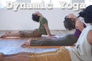 Dynamic Hatha Power Yoga Dynamic Hatha Power Yoga Classes