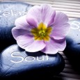 Private One to One Yoga Lessons Glasgow One to One Yoga for You – “121″ Yoga Meditation Healing offer Private One to One lessons for Everyone; of all abilities, be that a complete beginner or those who...