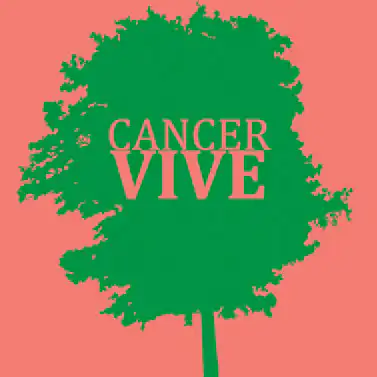 Healing Guided Visualization